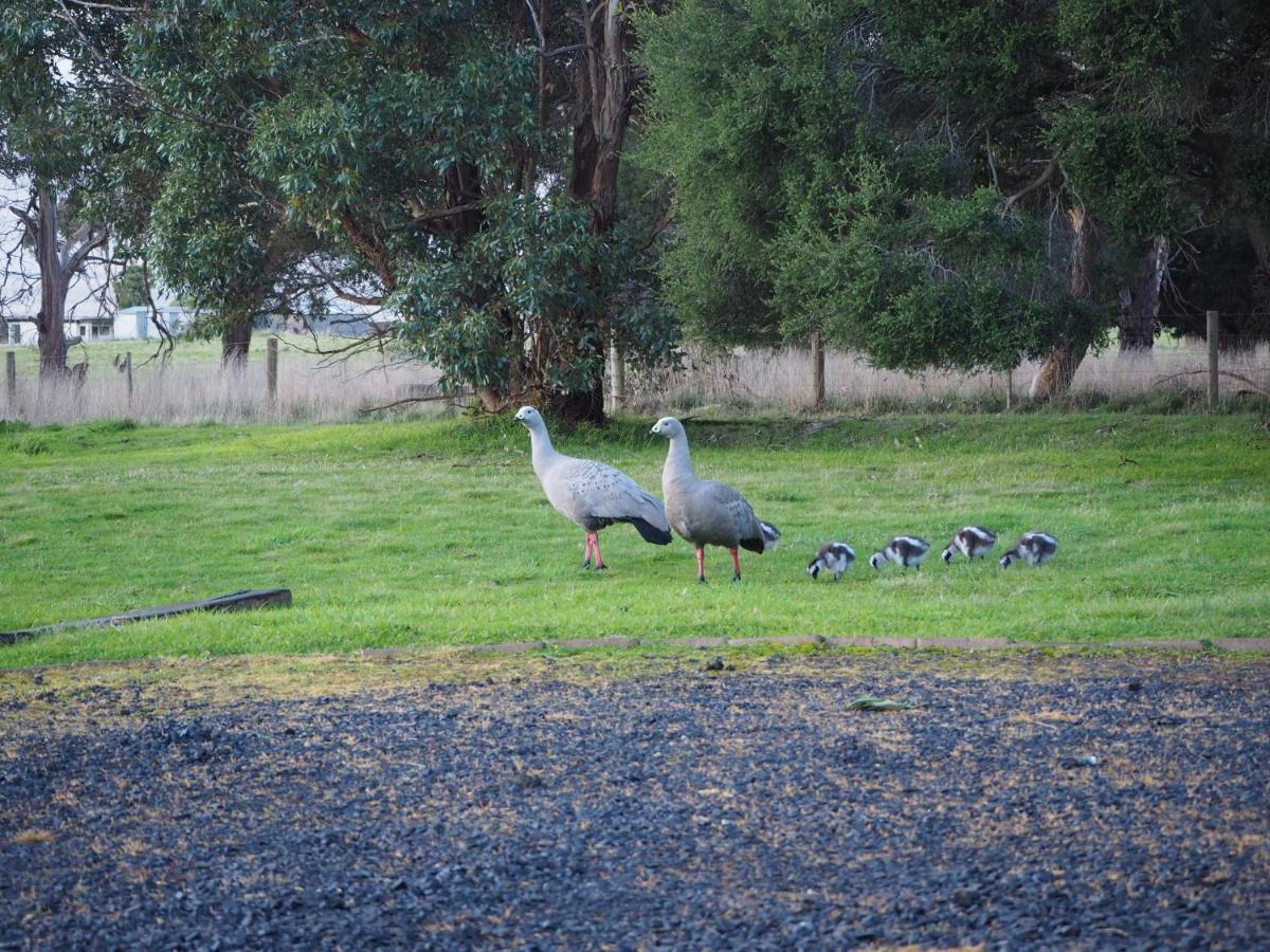 Banksia Park Estate Bed & Breakfast Newhaven Bagian luar foto
