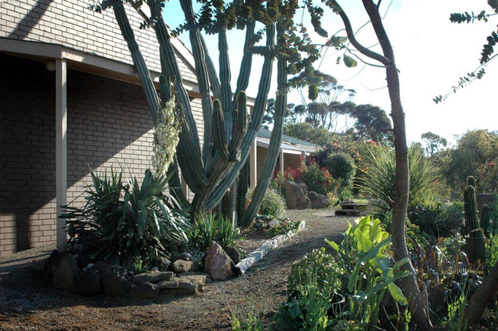 Banksia Park Estate Bed & Breakfast Newhaven Bagian luar foto