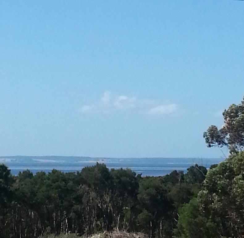 Banksia Park Estate Bed & Breakfast Newhaven Bagian luar foto